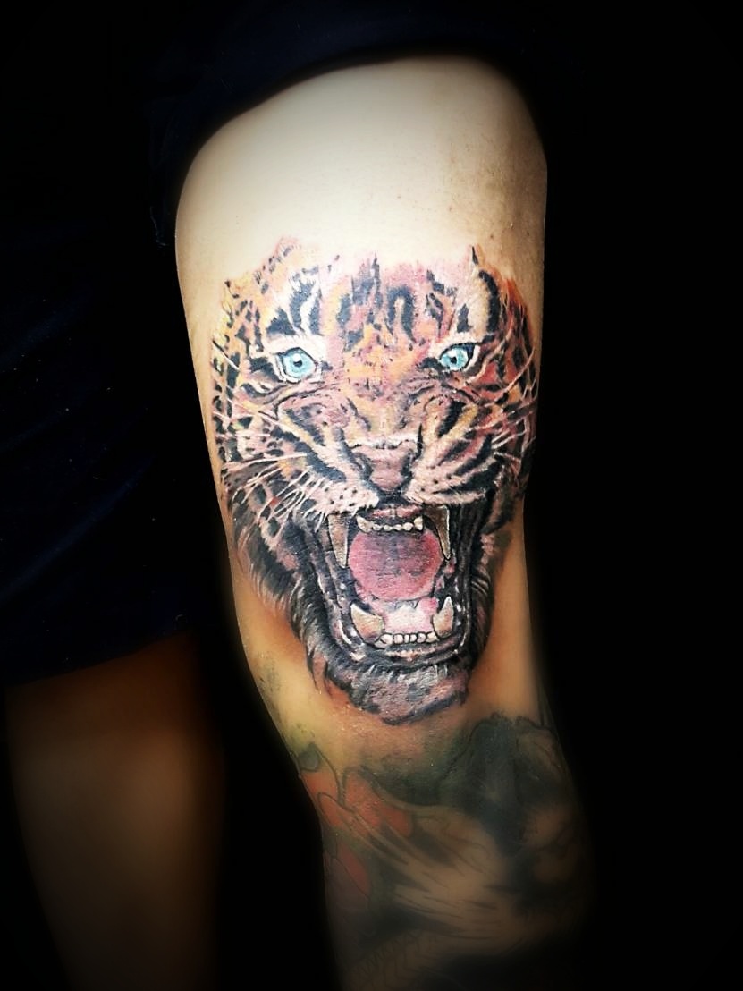 Full Sleeve Tiger Temporary Tattoo Realistic Click for More Details Angry  Tiger Leg Tattoo Crafting Supply - Etsy